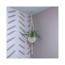 Load image into Gallery viewer, Blanche style macrame plant hanger from The Golden Collection. This hanger is secured at the top with a wooden ring held by three twisted spindles ending with some fun fringe at the bottom of the hanger. The recycled cotton cord is available in multiple shades
