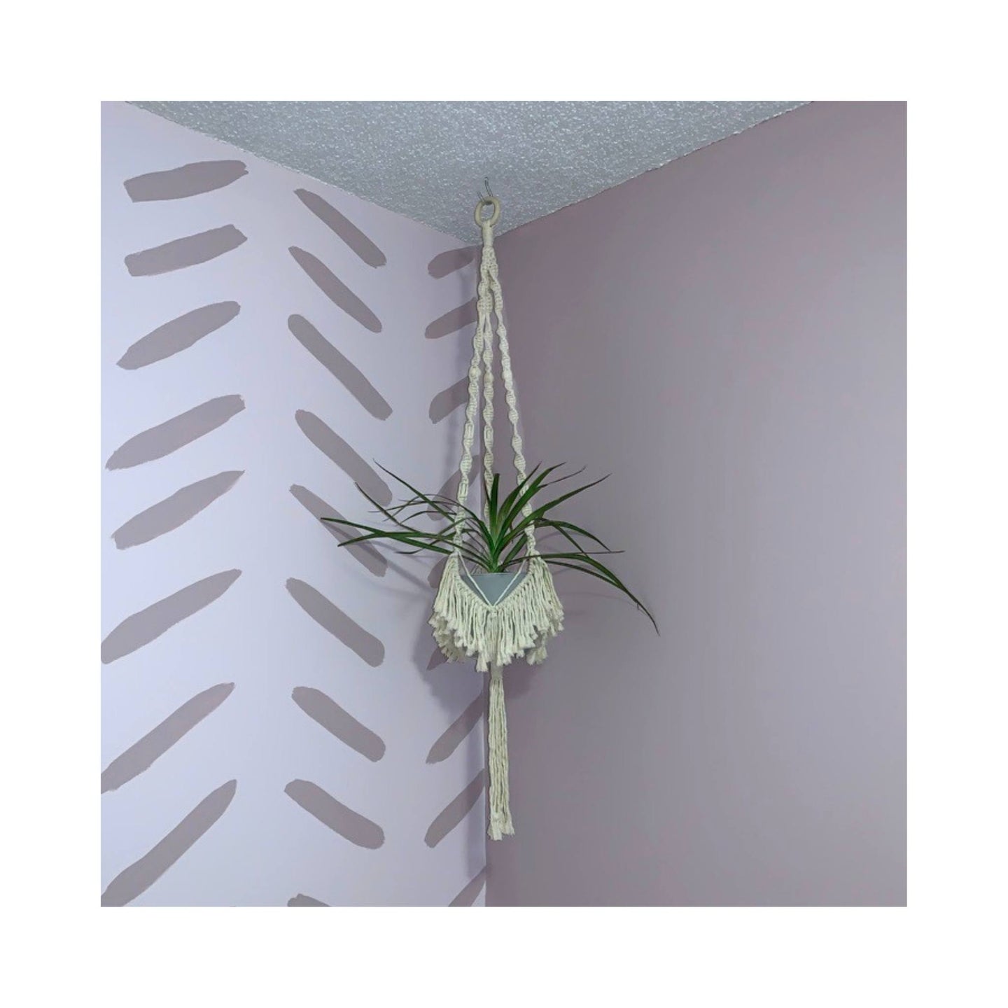 Blanche style macrame plant hanger from The Golden Collection. This hanger is secured at the top with a wooden ring held by three twisted spindles ending with some fun fringe at the bottom of the hanger. The recycled cotton cord is available in multiple shades